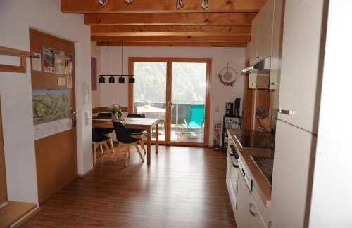 Sankt Gallenkirch Apartment | Appartement Carola