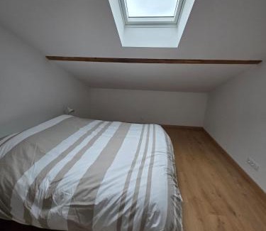 Toul Apartment | Appartement centre de Toul avec jardin