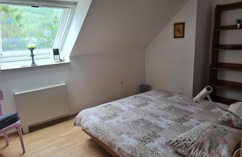 Busingen am Hochrhein Apartment | Appartement Paradiso