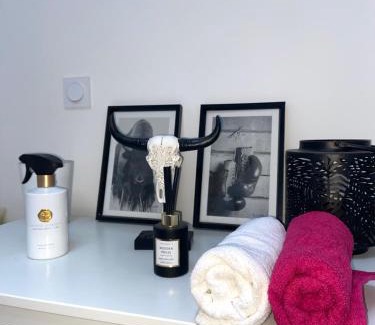 Valbenoite - Le Bernay - Valfuret Apartment | Appartement cosy à Saint Étienne