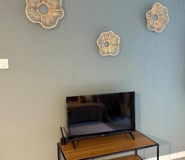 Mont-de-Marsan Apartment | Appartement cosy, terrasse privée, parking, centre ville