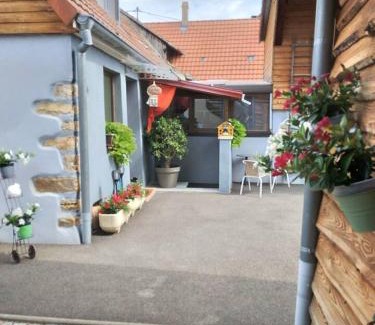 Wintzenheim House | Appartement cosy Wintzenheim + terrasse