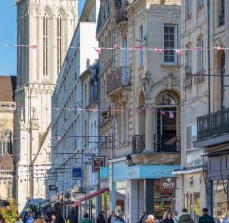 Quartier du chateau Apartment | Appartement d'exception en plein coeur de Caen