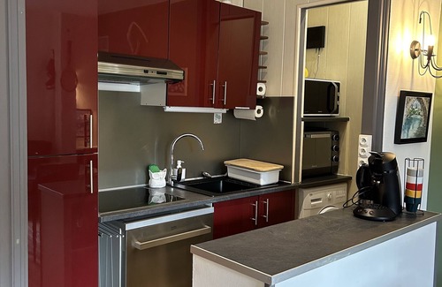 Mont-Dore Apartment | Appartement Dartiste Avec Sauna