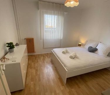 Vandoeuvre-les-Nancy Apartment | Appartement bambou