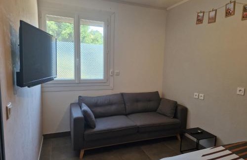 Serezin-du-Rhone Apartment | Appartement indépendant dans maison avec jardinet, au calme