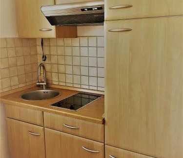 Bernau am Chiemsee Apartment | Appartement Joli