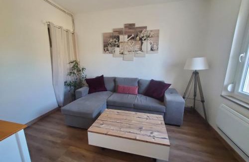 Neuves-Maisons Apartment | Appartement lumineux en centre-ville