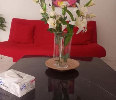 Les Jardins d'El Menzah 1 Apartment | Appartement menzah9