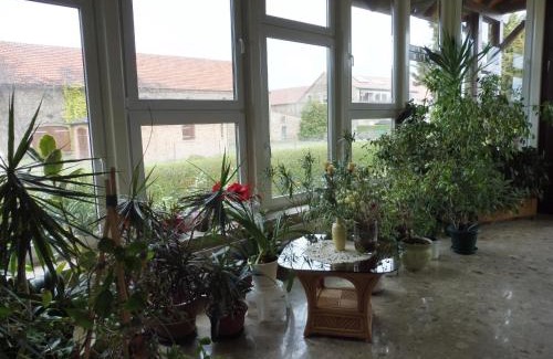 Radewege Apartment | Appartement Mit Blick Auf Das Wasser