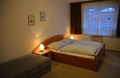 Zell am See Apartment | Appartement Mooslechner