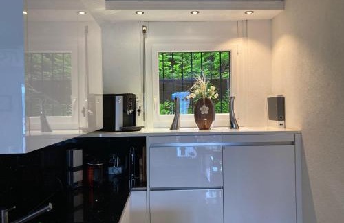 Ponte Tresa Apartment | Appartement Novotna