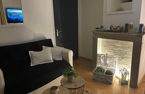 Le Marais House | Appartement privatif cozy Euratechnologies