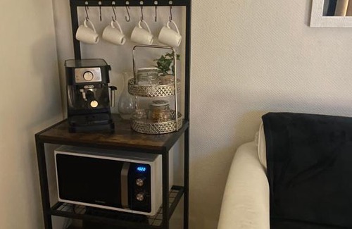 Le Marais House | Appartement privatif cozy Euratechnologies