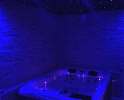 Aulnoy-lez-Valenciennes Apartment | Appartement spa gingko, N1 Valenciennes, Wifi, Netflix