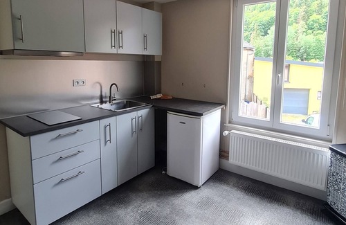 Metzeral Apartment | Appartement Spacieux au Départ de Sentiers de Randonnées