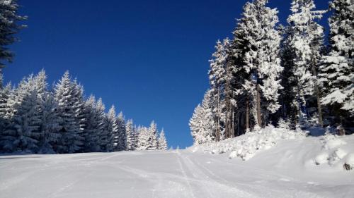 Waldbach-Monichwald Apartment | Appartement Steiner