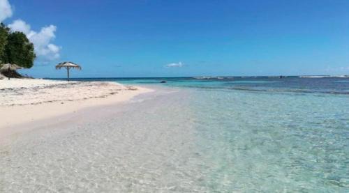 Anse des Rochers Apartment | Appartement T1 ANSE DES ROCHERS