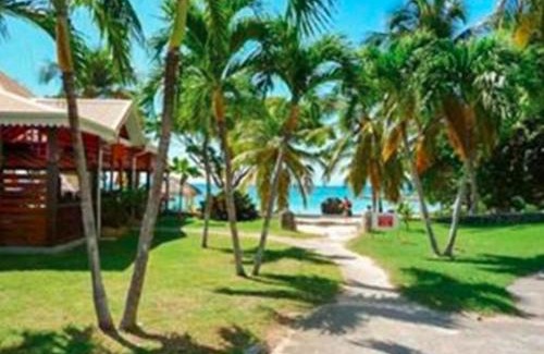Anse des Rochers Apartment | Appartement T1 ANSE DES ROCHERS