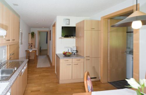 Schoppernau Apartment | Appartements Moosbrugger Haus Herlinde