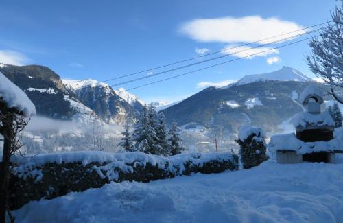 Bad Gastein Apartment | Appartment Brigitte