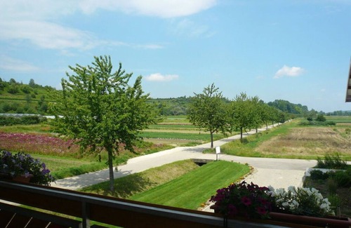 Eichstetten am Kaiserstuhl Apartment | Appealing apartment with terrace