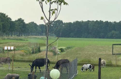 Appelscha Bed & Breakfast | Appelscha aan de diek