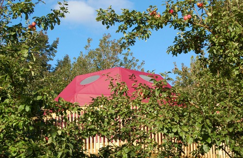 Indian Brook Resort | Apple Dome at Cabot Shores Wilderness Resort