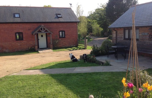 Plaitford House | Apple Pye - Converted Barn In An Attractive Courtyard On Our Family Stockfarm
