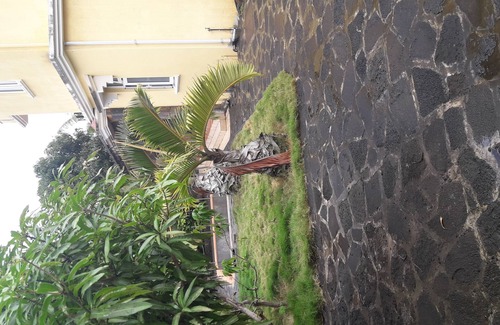 Trou aux Biches Apartment | Apt 100 m2 1st floor near the sea