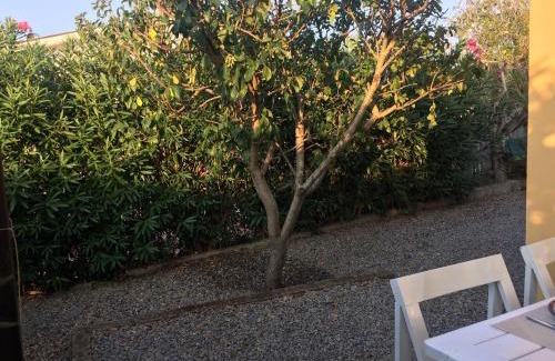Lido di Capoliveri House | Apt. Calanchiole by SolturElba