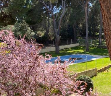 San Martin de Valdeiglesias Apartment | Apt Romántico con chimenea con Fibra óptica y terraza