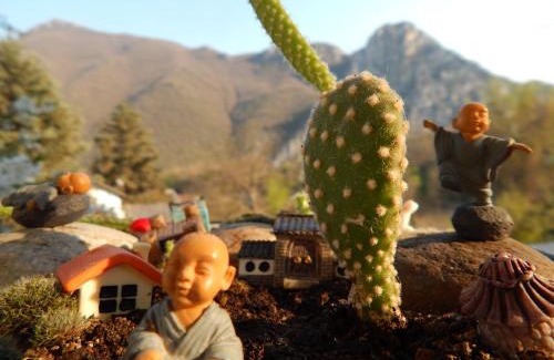 Dolna Matka Apartment | Apt - Sleeps 2 - Balcony - Pets Ok