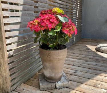 Billund Apartment | Apt17 - Guest house just outside of Billund - rural and quiet surroundings