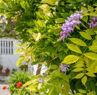 Evora Apartment | Aqueduct View House