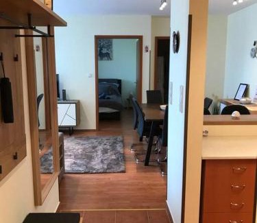 Istvanmezo Apartment | Aréna Apartman
