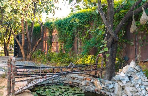 Village Hokra Other | Aranya Stuga Pushkar