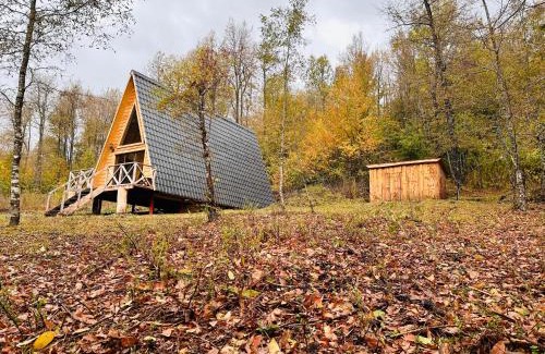 Curacautin House | Araucaria Lodge