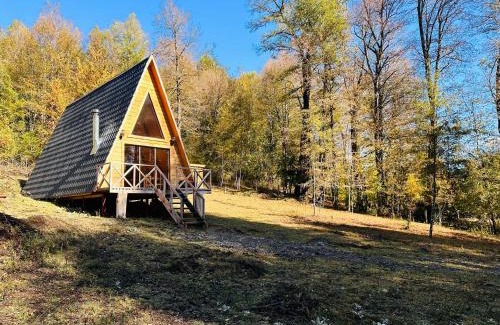 Curacautin House | Araucaria Lodge