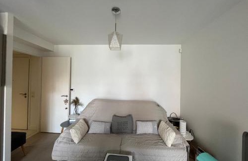 Arcachon Apartment | Arcachon Centre : T2 avec Parking, Loggia et Proche Plage - FR-1-319-566