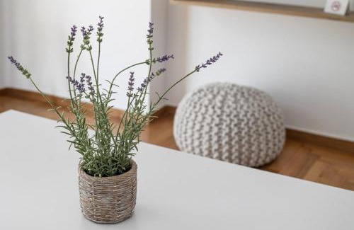 Kinosargous Apartment | Arco - Sleek 2-BR Apt in the Heart of Athens