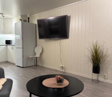 Tromso Apartment | Arctic apartment Tønsvik
