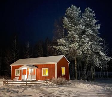 Jorn House | Arctic Hearts - Kleines Schwedenhaus im Wald am See