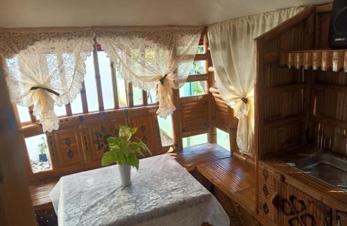 San Juan Bed & Breakfast | Aremen Transient, Nipa Hut with shared main houses bathroom