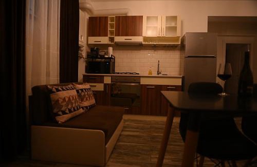 Craiova Apartment | Arin l Aparthotel #1