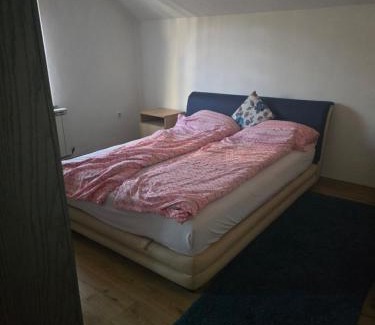 Novi Grad Sarajevo Villa | Art