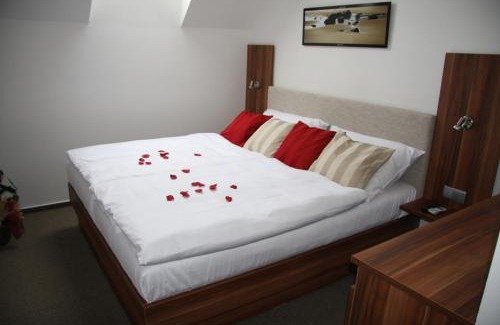 Podebrady Hotel | Art Hotel Podebrady
