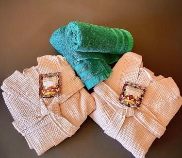 Branoux-les-Taillades Apartment | ART SPA DES CEVENNES “ JACUZZI ”