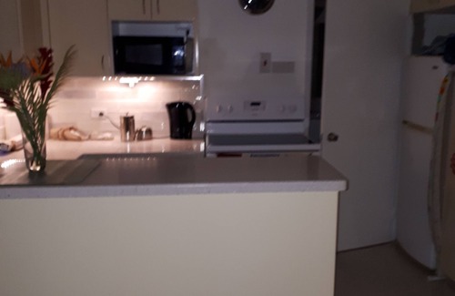 Holetown Apartment | Art Studio 2 is set in lovely gardens,35 yards from the beach