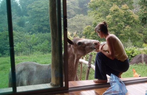 Tajo Alto Other | Artistic House ; Peaceful place in the Mountains. Close to Miramar, Puntarenas